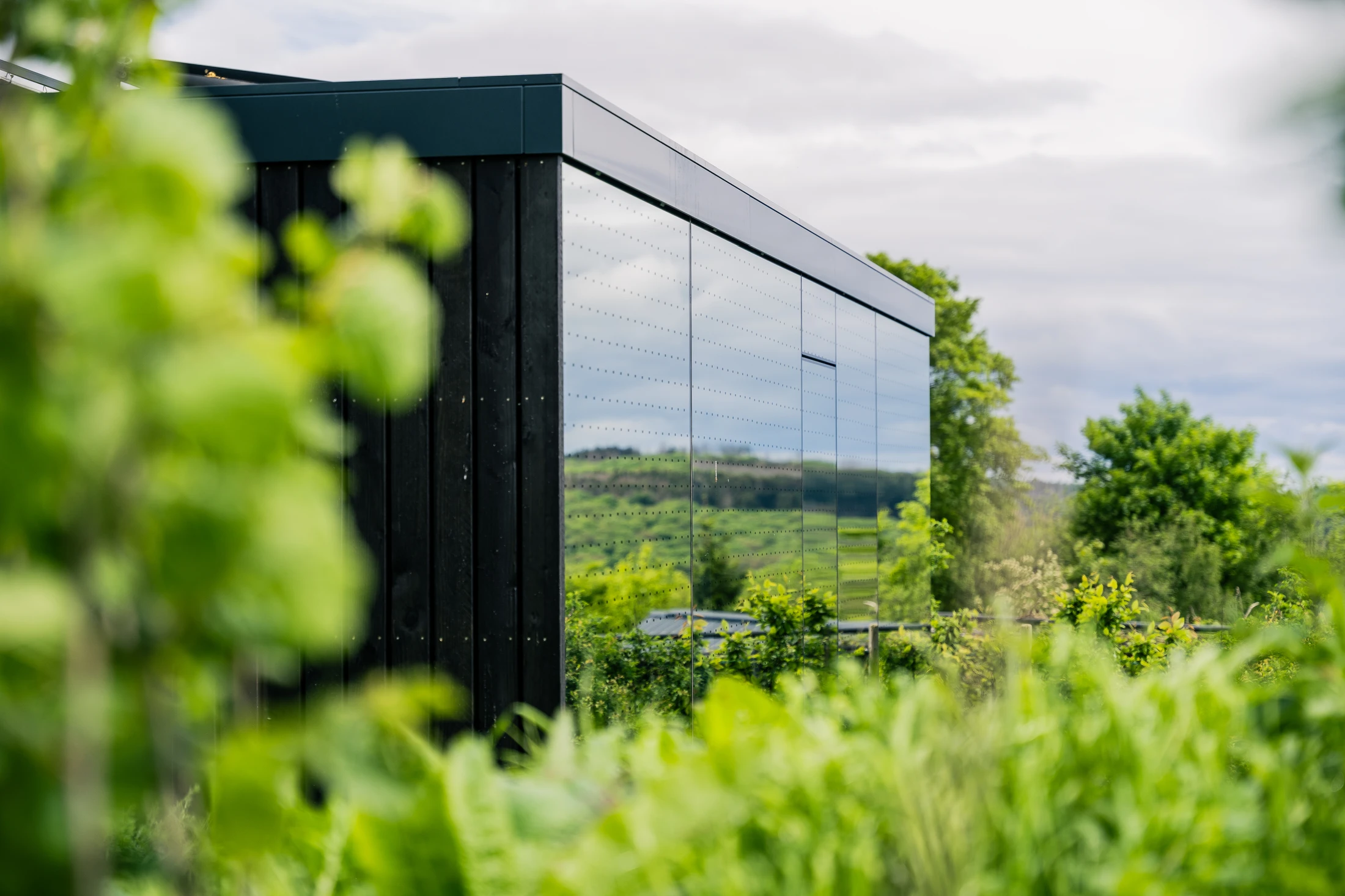 Außenansicht des cabins mit Spiegelfassade